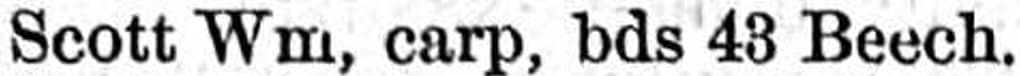William.G.Scott.Carp.1877.Detroit.City.Dir.