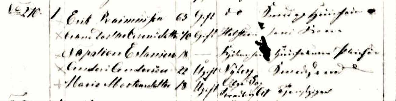 Napoleon.Erlandsen.Erik.Rasmussen.1850.Denmark.Census.Iden Ser Idbs Sal No 258