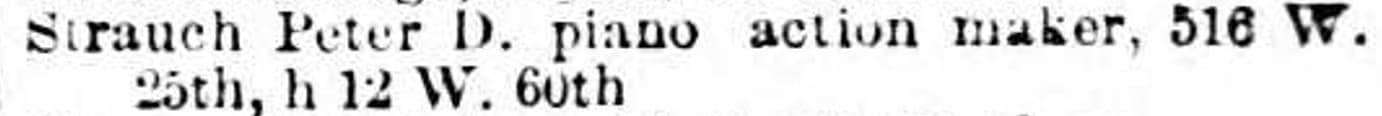 Peter.D.Strauch.Action.Maker.NYC.Dir.1870