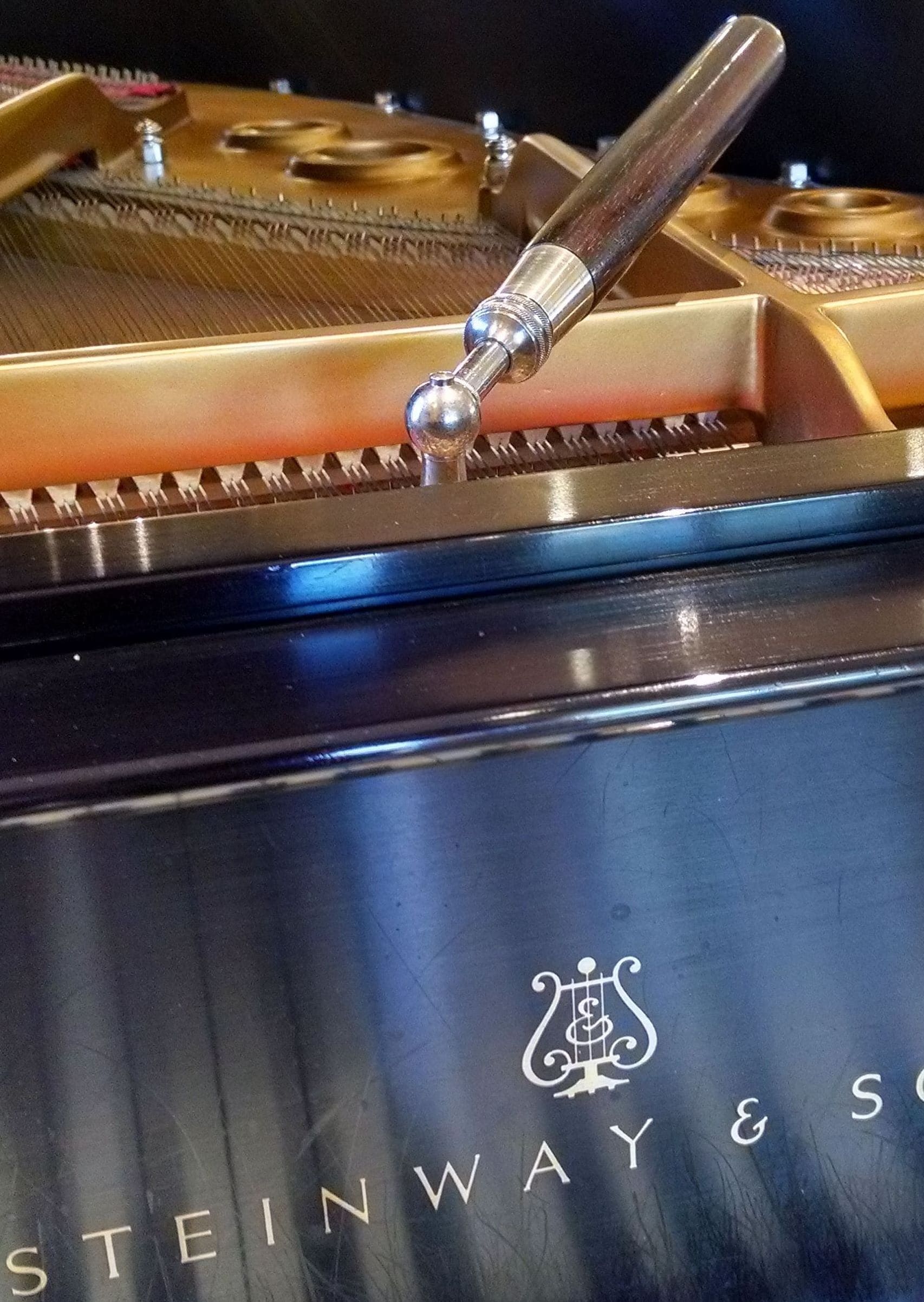 IMG_20160229_105809037_HDR-1