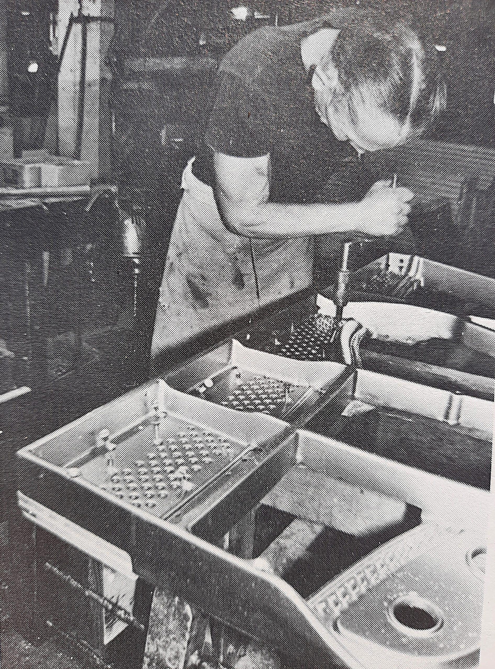 Aeolian.Factory.1975.Reblitz