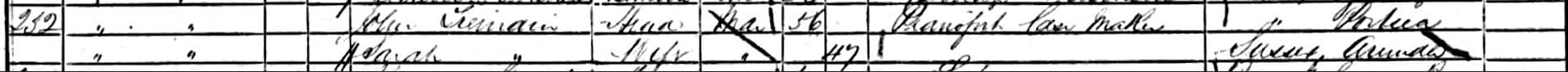 John.Tremain.1861.UK.Census