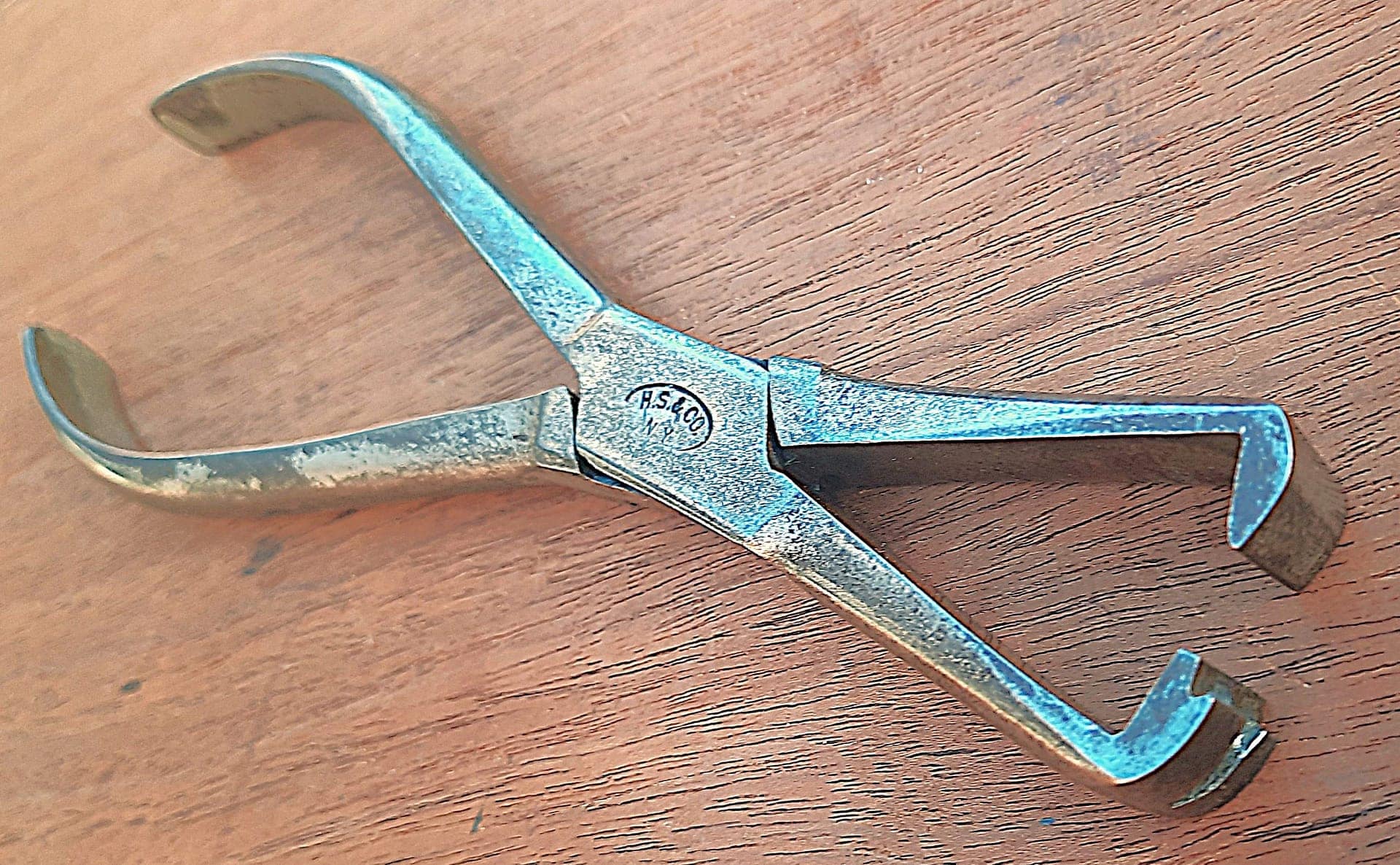 Bridle.Wire_.Spreaders.HS_-scaled