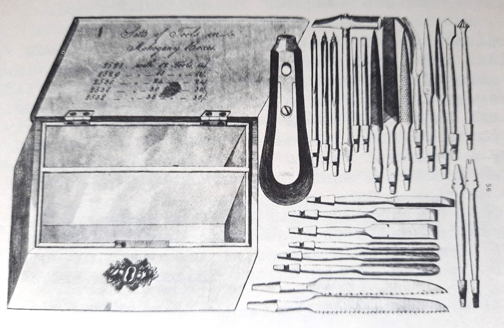 Timmons.Multi-Handle.1810