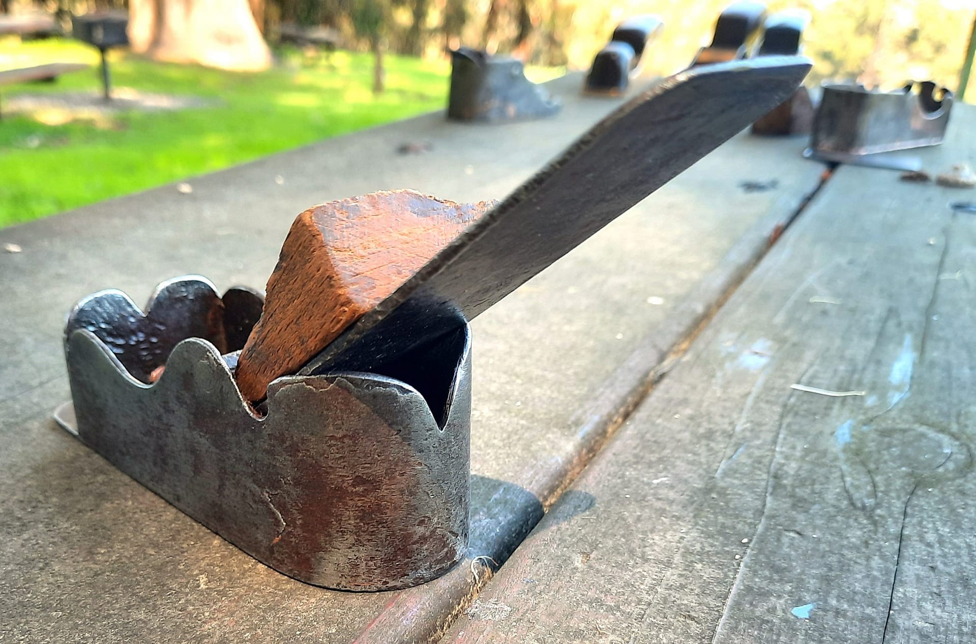 Early.Swiss.Chatiot.Plane.1