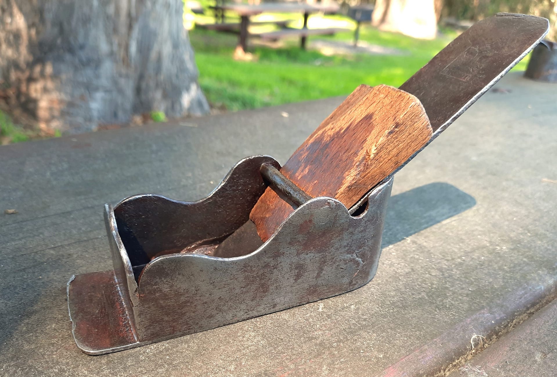 Early.Swiss.Chatiot.Plane.3