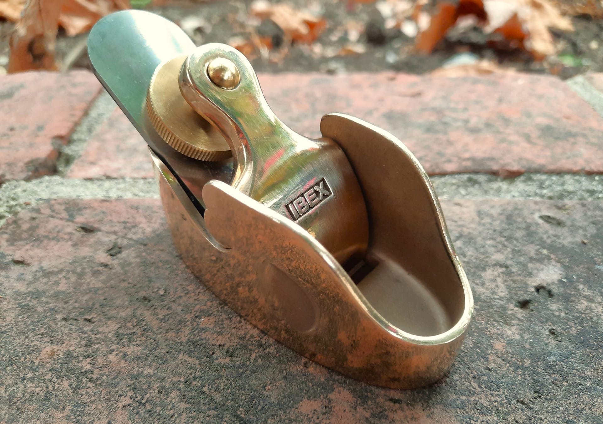 Ibex.Palm.plane.flat.face