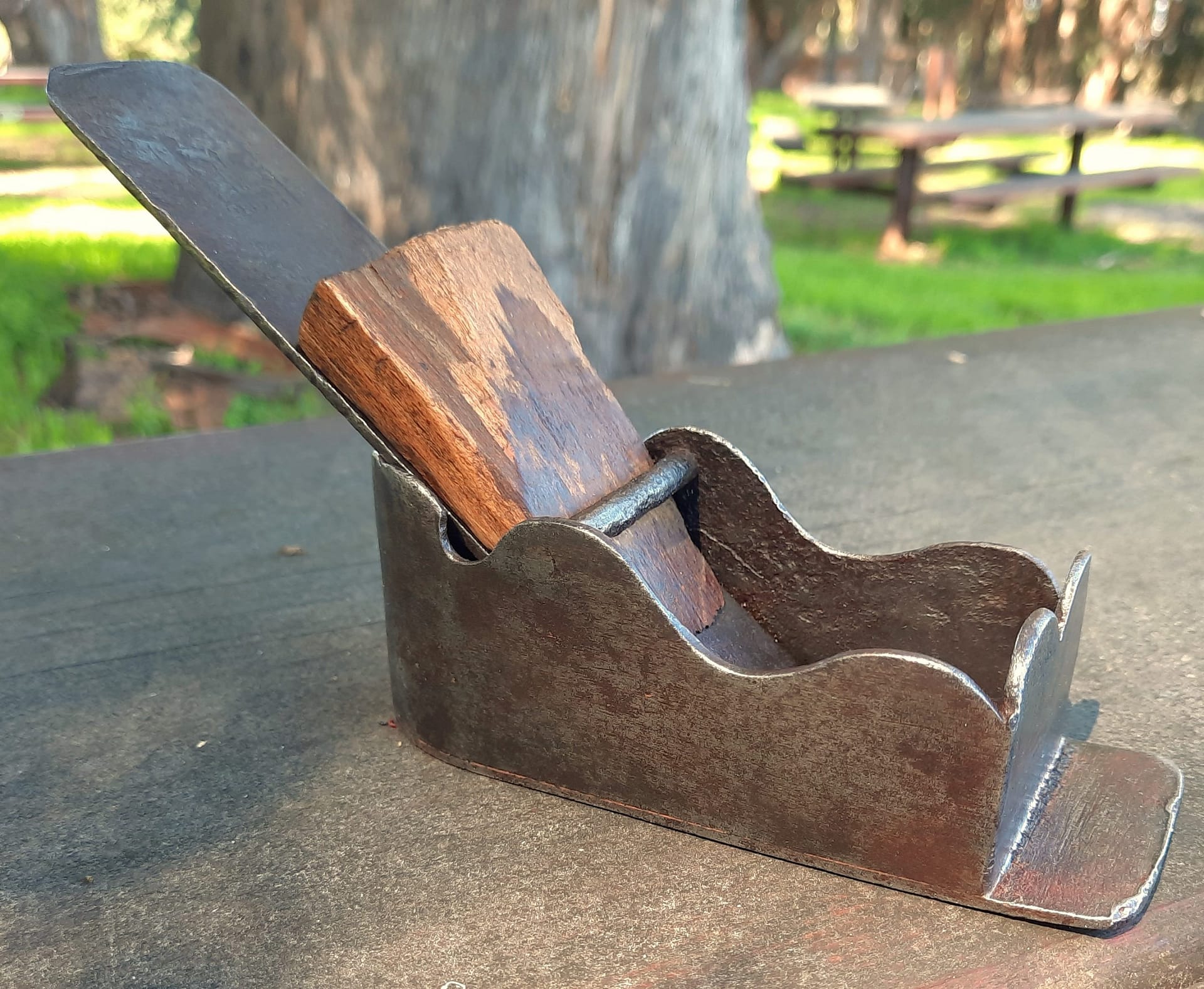 Early.Swiss.Chatiot.Plane.2