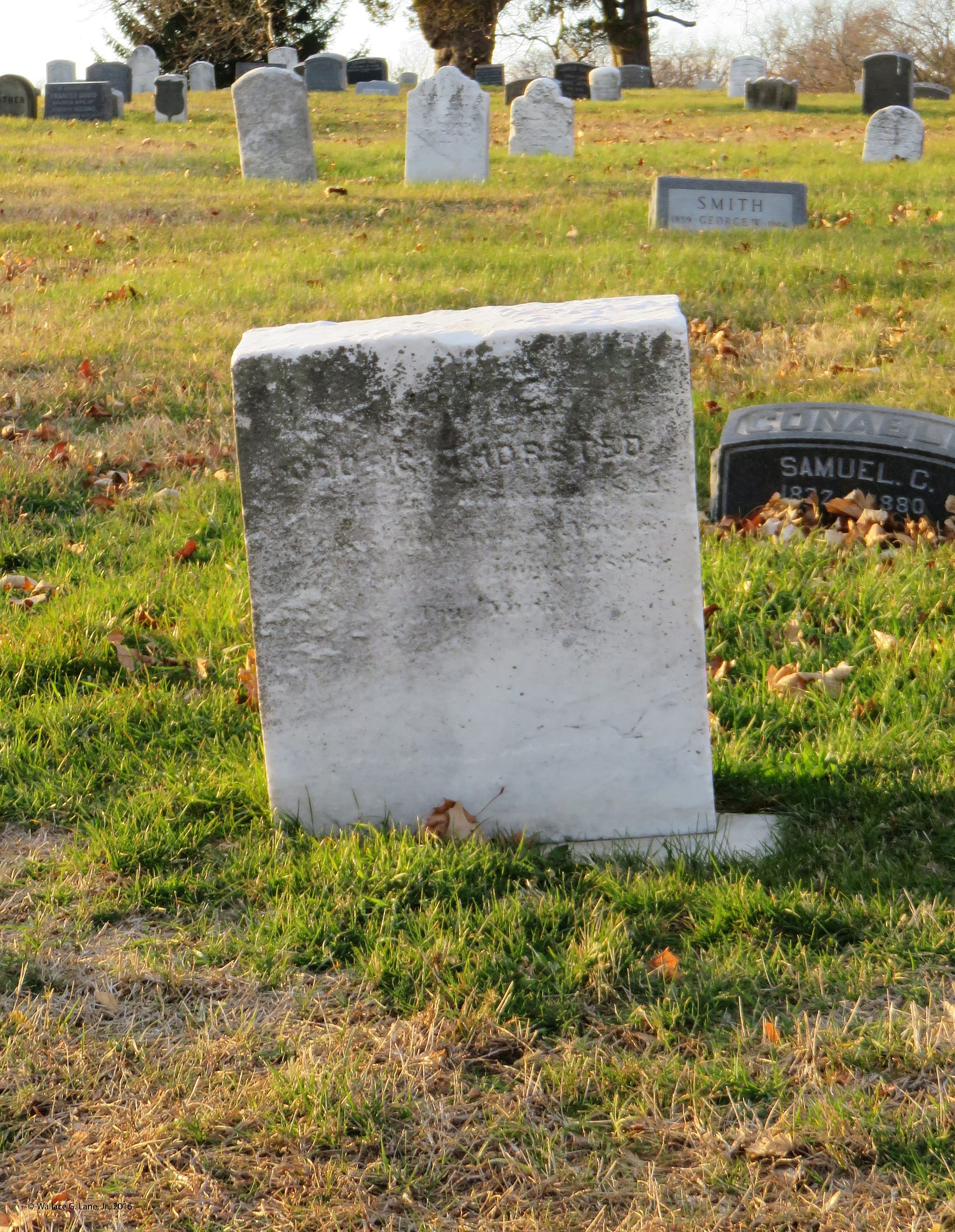 173714019_1482000938