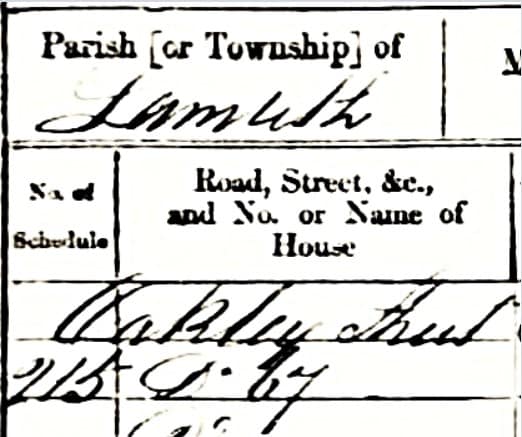 67.Oakley.St.Lambeth.1871.UK.Census