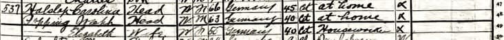 Joseph.Popping.1905.NY.Census.536.46th.St.At.Home
