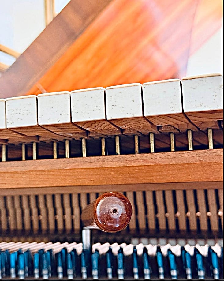 Pinet.Tuning.Hammer.F.Bischopf.facebook.June.26.G